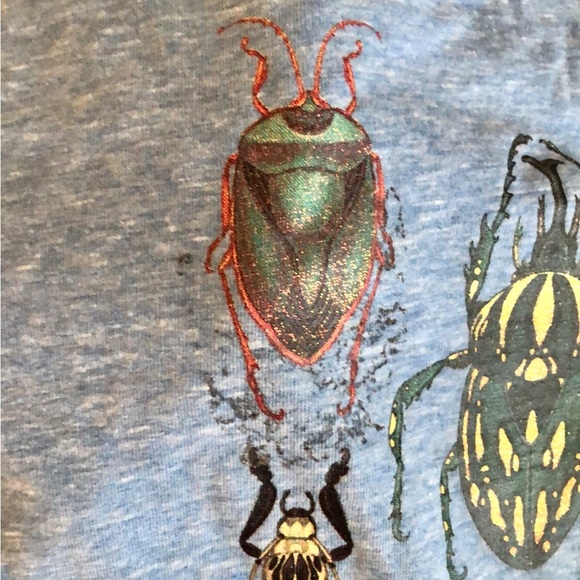 SOLD! H&M Beetle Bug Short Sleeve T-Shirt Boy Girl Size 4-6 - Picture 4 of 6